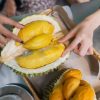 Hand with durian fruit Hand with durian fruit